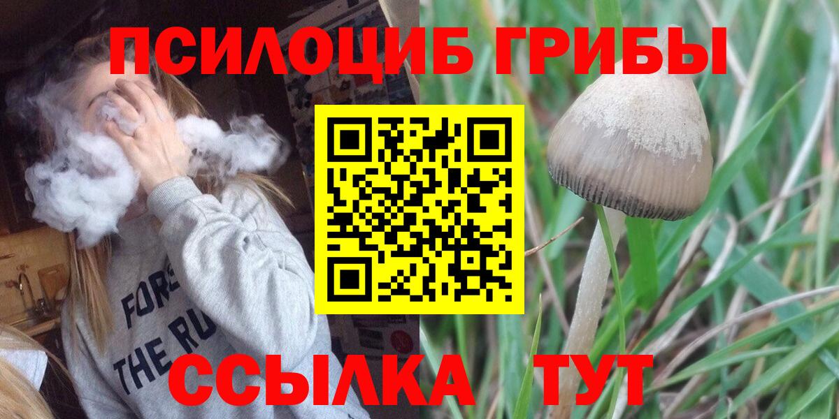 Коммунар  Псилоцибиновые грибы MAGIC MUSHROOMS  где продают   Вход с VPN 